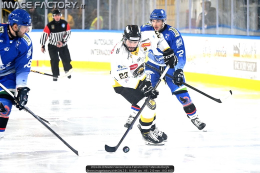 2024-09-28 Mastini Varese-Fassa Falcons 01627 Marcello Borghi